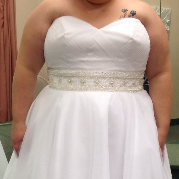 David's Bridal Wedding Dress 24W Empire Waist - Picture 2 of 7